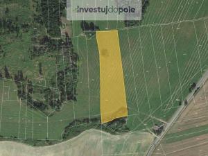 Prodej pole, Neurazy - Soběsuky, 4301 m2