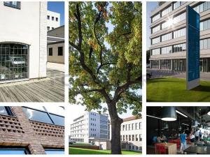Pronájem bytu 1+kk, Brno, Dornych, 22 m2