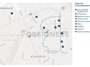 Pronájem bytu 1+kk, Brno, Dornych, 22 m2