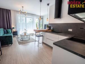 Pronájem bytu 1+kk, Brno, Sportovní, 33 m2