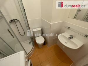 Pronájem bytu 1+kk, Praha - Smíchov, Moulíkova, 29 m2