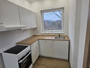 Pronájem rodinného domu, Klimkovice, 9. května, 46 m2