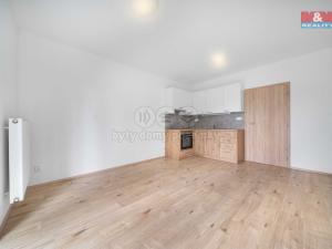 Pronájem bytu 1+kk, Třemošná, Školní, 32 m2