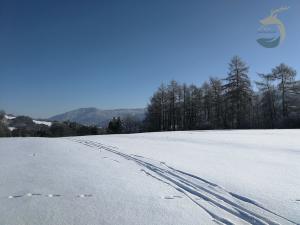 Prodej pozemku pro bydlení, Krásný Les - Damice, 457 m2