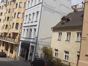 Prodej apartmánu, Karlovy Vary, Moravská, 270 m2