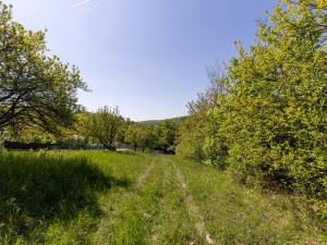 Prodej chaty, Ivančice, 60 m2