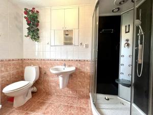 Pronájem bytu 2+1, Karlovy Vary, Poštovní, 63 m2