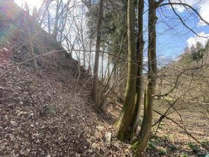 Prodej lesa, Třebovice, 346 m2