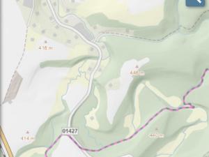 Prodej lesa, Třebovice, 346 m2