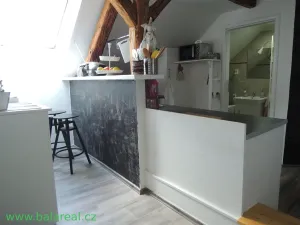 Pronájem bytu 3+kk, Rousínov - Čechyně, 69 m2