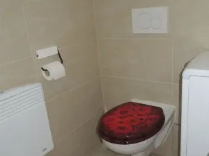 Pronájem bytu 3+kk, Rousínov - Čechyně, 69 m2