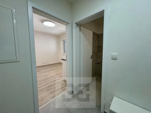 Pronájem bytu 1+kk, Brno, Křenová, 30 m2