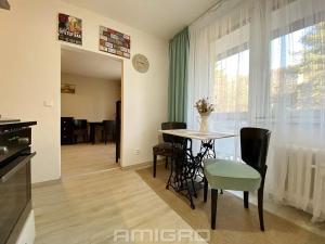 Pronájem bytu 2+kk, Brno, Lipská, 54 m2