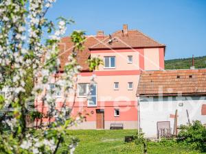 Prodej rodinného domu, Velká nad Veličkou, 260 m2