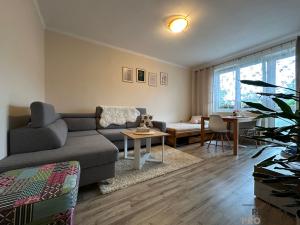 Prodej bytu 2+1, Český Těšín, Hrabinská, 47 m2