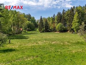 Prodej louky, Cvikov, 5335 m2