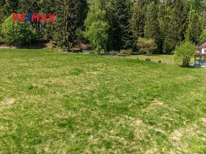 Prodej louky, Cvikov, 5335 m2