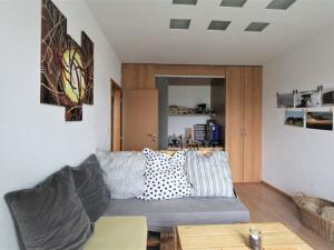Pronájem bytu 2+1, Plzeň - Východní Předměstí, Zahradní, 46 m2