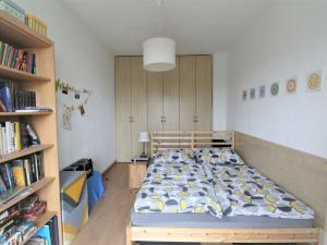 Pronájem bytu 2+1, Plzeň - Východní Předměstí, Zahradní, 46 m2