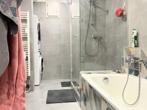 Pronájem bytu 2+kk, Ostrava, Balcarova, 54 m2