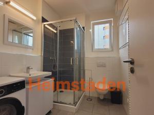 Pronájem bytu 2+1, Plzeň - Jižní Předměstí, Magisterská, 55 m2
