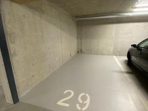 Pronájem garáže, Brno - Sadová, Kumpoštova, 13 m2