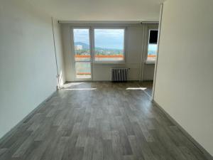 Prodej bytu 1+1, Litvínov - Horní Litvínov, Valdštejnská, 33 m2