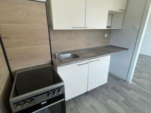 Prodej bytu 1+1, Litvínov - Horní Litvínov, Valdštejnská, 33 m2