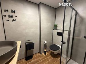 Pronájem bytu 2+1, Vrchlabí, Krkonošská, 47 m2