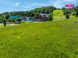 Prodej pozemku pro bydlení, Červená Voda, 1251 m2