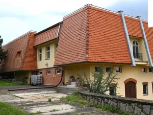 Prodej ubytování, Jiřice u Miroslavi, 662 m2