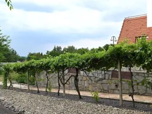 Prodej ubytování, Jiřice u Miroslavi, 662 m2