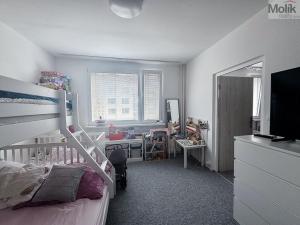 Pronájem bytu 1+1, Duchcov, Osecká, 35 m2