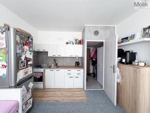 Pronájem bytu 1+1, Duchcov, Osecká, 35 m2