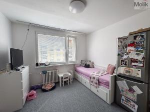 Pronájem bytu 1+1, Duchcov, Osecká, 35 m2