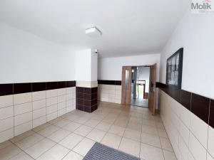 Pronájem bytu 1+1, Duchcov, Osecká, 35 m2