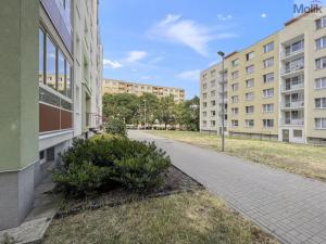 Pronájem bytu 1+1, Duchcov, Osecká, 35 m2