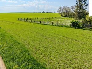 Prodej pozemku pro bydlení, Brázdim, 1371 m2