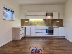 Pronájem rodinného domu, Nedabyle, 115 m2