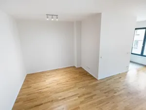 Prodej bytu 1+kk, Praha - Žižkov, Seifertova, 67 m2