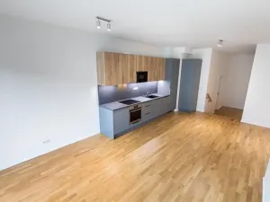 Prodej bytu 1+kk, Praha - Žižkov, Seifertova, 67 m2