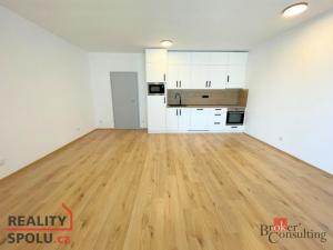Pronájem bytu 1+kk, Plzeň - Jižní Předměstí, Měděná, 49 m2