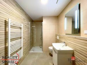 Pronájem bytu 1+kk, Plzeň - Jižní Předměstí, Měděná, 49 m2