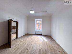 Pronájem bytu 1+1, Ústí nad Labem - Ústí nad Labem-centrum, Horova, 51 m2