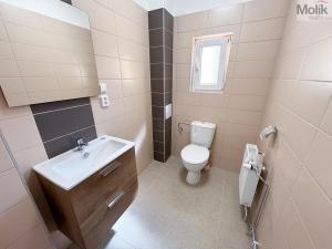 Pronájem bytu 1+1, Ústí nad Labem - Ústí nad Labem-centrum, Horova, 51 m2
