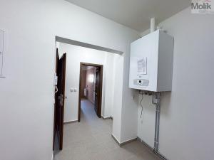 Pronájem bytu 1+1, Ústí nad Labem - Ústí nad Labem-centrum, Horova, 51 m2