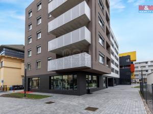 Pronájem obchodního prostoru, Pardubice, Smilova, 39 m2