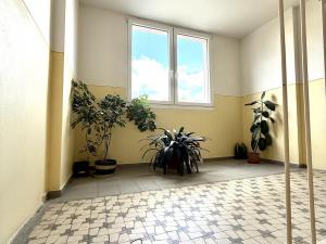 Prodej bytu 1+1, Krupka - Maršov, Jabloňová, 36 m2