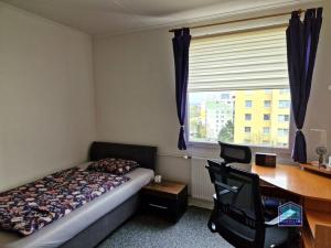 Prodej bytu 3+1, Plzeň - Severní Předměstí, Bzenecká, 80 m2