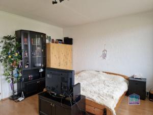 Prodej bytu 3+1, Plzeň - Severní Předměstí, Bzenecká, 80 m2